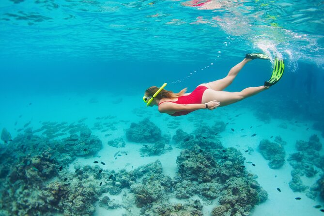 Boat Dive and Snorkeling Experience in Aqaba - Group size, instruction, and the feel of the boat