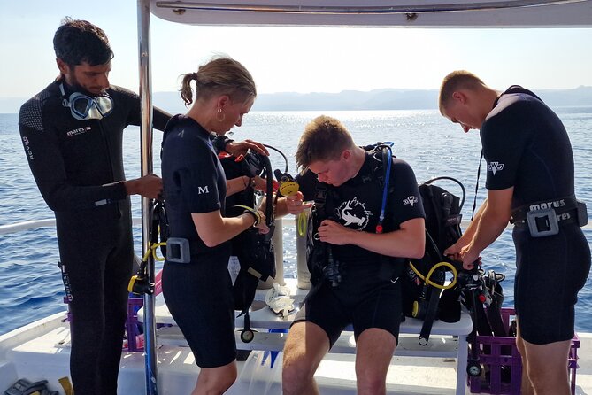 Boat Dive and Snorkeling Experience in Aqaba - Coral, fish, and Aqaba’s shipwrecks