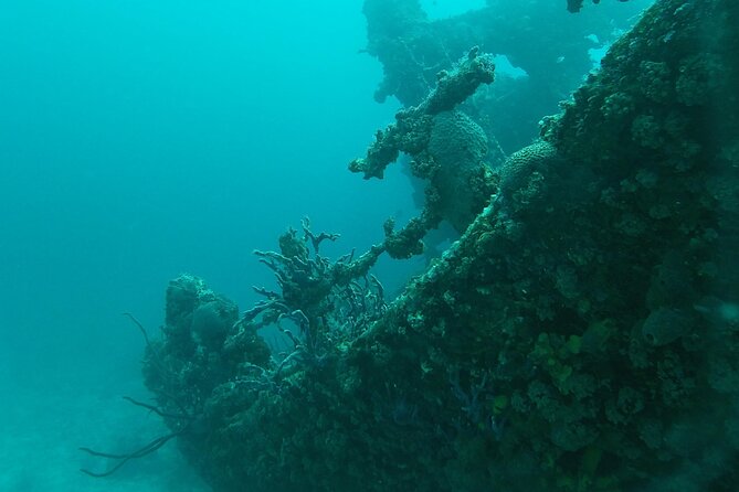 Boat Dive Shipwreck/ Airplanes/ Reef /2 tanks - Barcadera Reef Brings a Natural Change