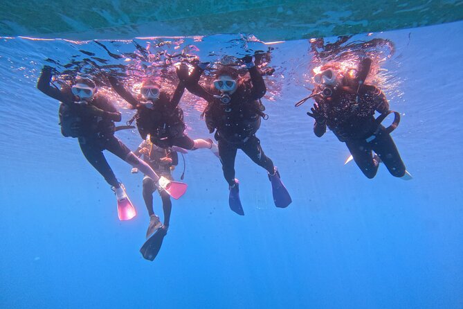 Boat entry diving at the Blue Cave in Onna Village, Okinawa! - Photos and video are part of the value