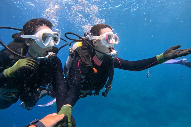 Boat entry diving at the Blue Cave in Onna Village, Okinawa! - Is the $51.89 price good value?