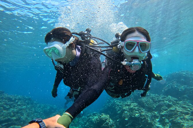 Boat entry diving at the Blue Cave in Onna Village, Okinawa! - Sea conditions and the substitute site
