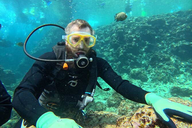 Boat entry diving at the Blue Cave in Onna Village, Okinawa! - Health rules and age limit