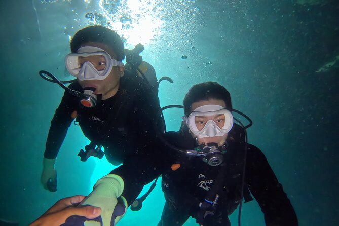 Boat entry diving at the Blue Cave in Onna Village, Okinawa! - Inside the cave with an instructor