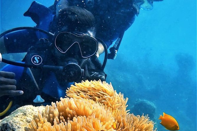 Boat Scuba Diving at Neil Island - Key points to know before you book
