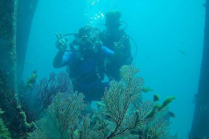Boat Scuba Diving at Neil Island - What makes the Neil Island setting appealing