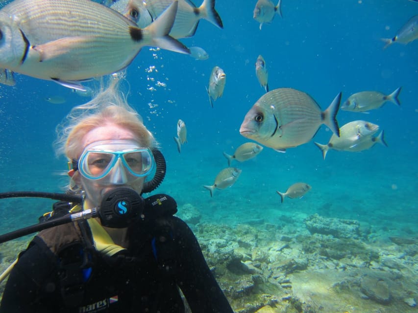 Bodrum: Scuba Diving Trip with Lunch - Key points to know before booking