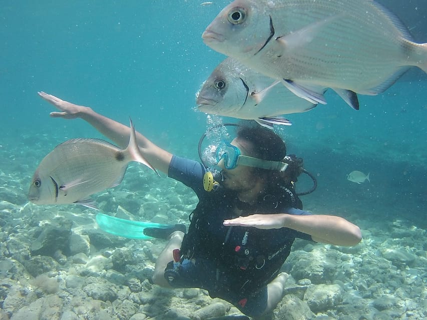 Bodrum: Scuba Diving Trip with Lunch - What the Bodrum scuba trip is really like