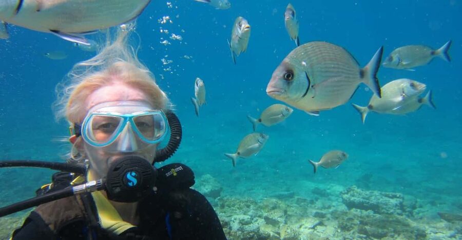 Bodrum: Scuba Diving Trip with Lunch - What you may see below the surface