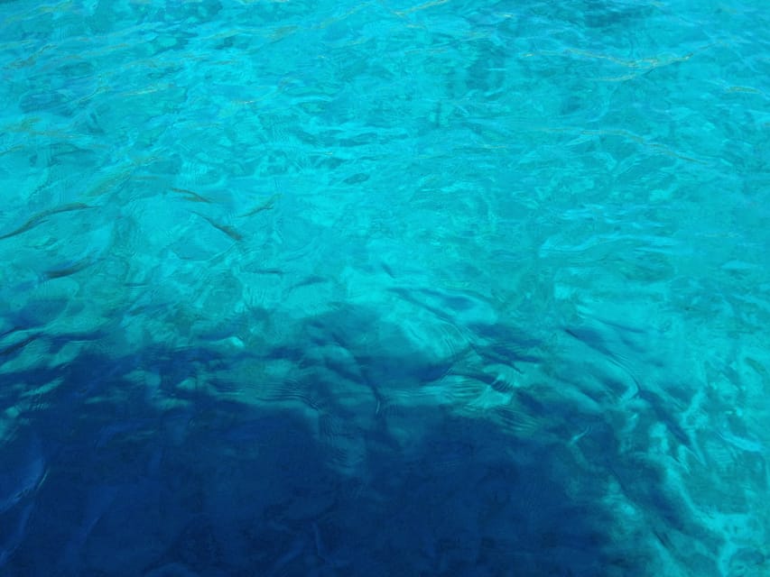 Bodrum: Scuba Diving Trip with Lunch - Meeting at Halikarnas Harbour