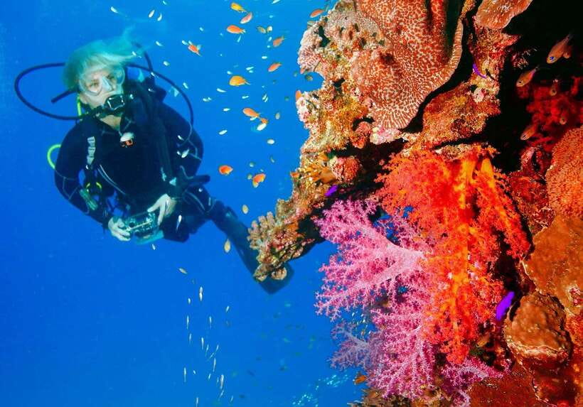 Bohol: Discover Scuba Diving - No Experience Needed - Why Panglao works for a first scuba experience