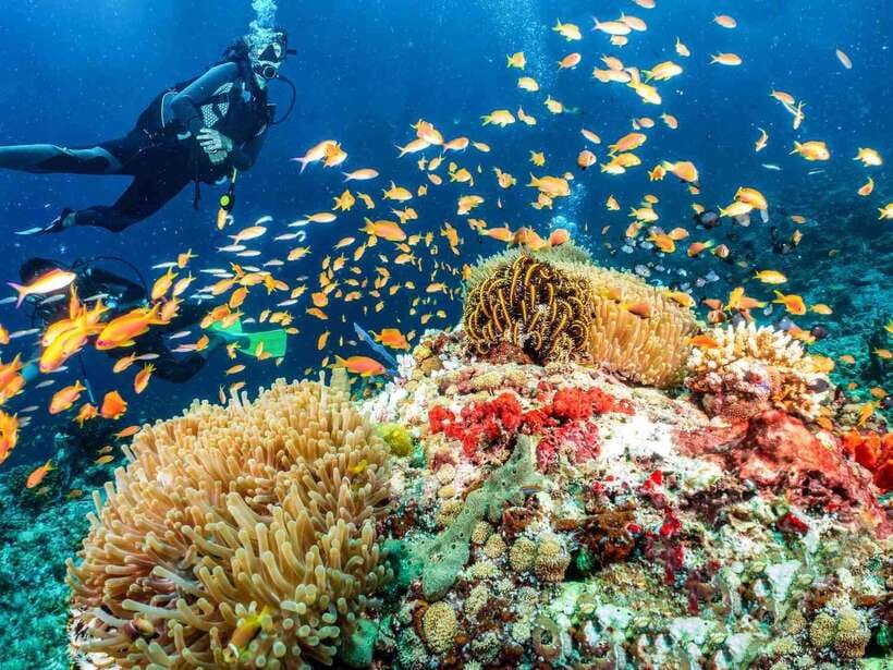 Bohol: Discover Scuba Diving - No Experience Needed - The second hour: getting comfortable in shallow water