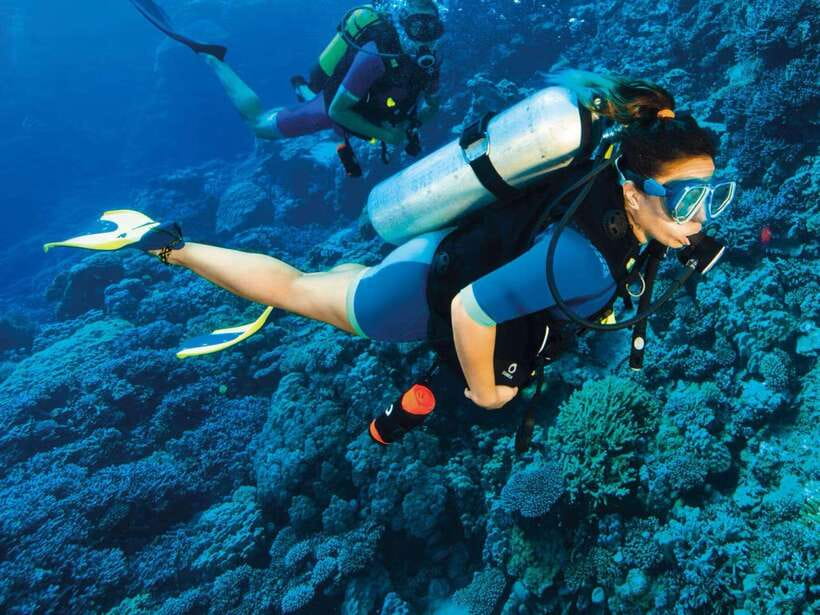 Bohol: Discover Scuba Diving - No Experience Needed - What the $104 price really covers
