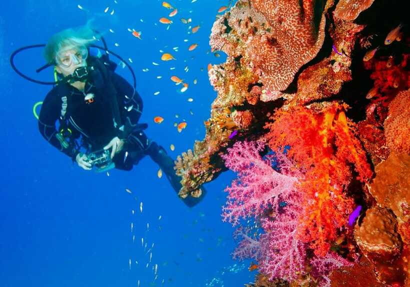 Bohol: Discover Scuba Diving - No Experience Needed - Patient instruction is the main selling point