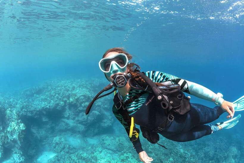 Bohol: Discover Scuba Diving - No Experience Needed - The first hour: simple theory with a video