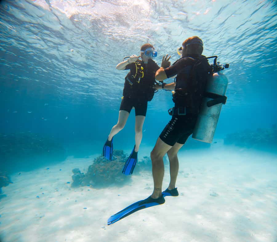 Bora Bora: Introductory Dive - Why the coral garden works for beginners
