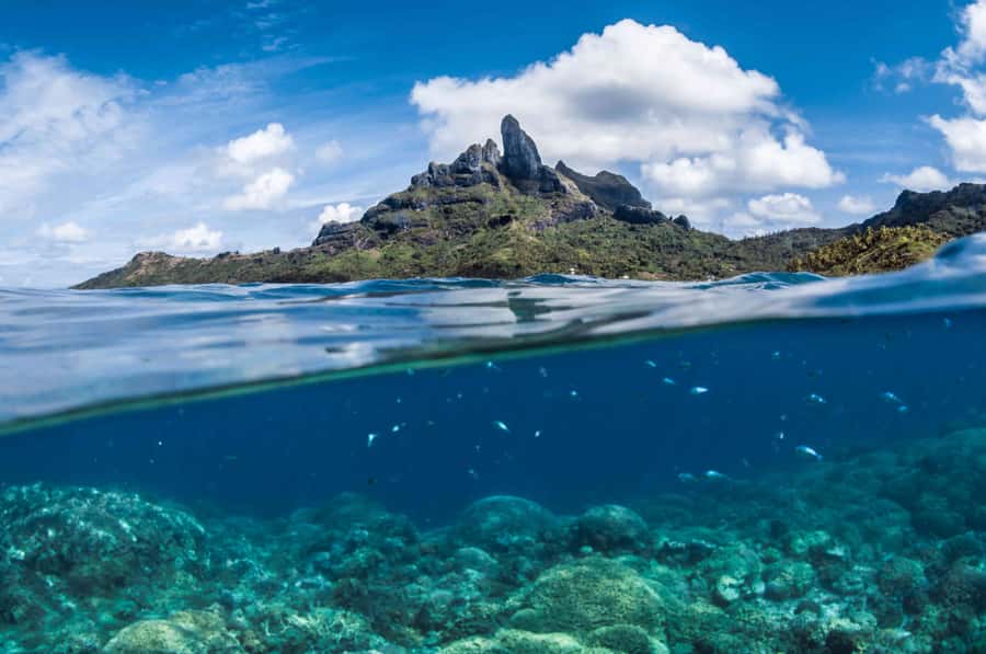 Bora Bora: Introductory Dive - The instructors make the difference