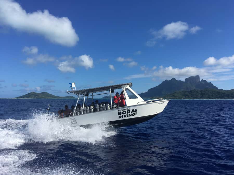 Bora Bora: Morning 2 tank dive for certified divers - First session: rays in Bora Bora’s lagoon