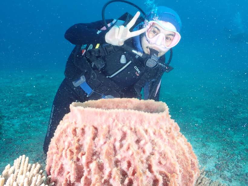 Boracay: Introduction to Scuba Diving Experience - A gentle first step below Boracay’s surface