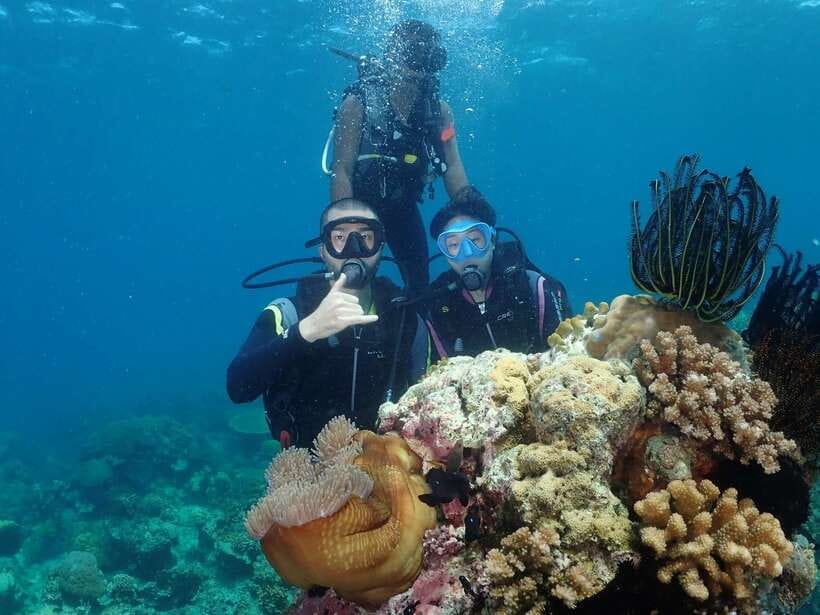 Boracay: Introduction to Scuba Diving Experience - Equipment and shallow-water practice