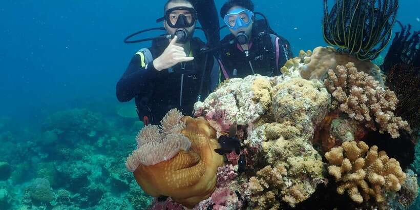 Boracay: Introduction to Scuba Diving Experience - Who should book this experience
