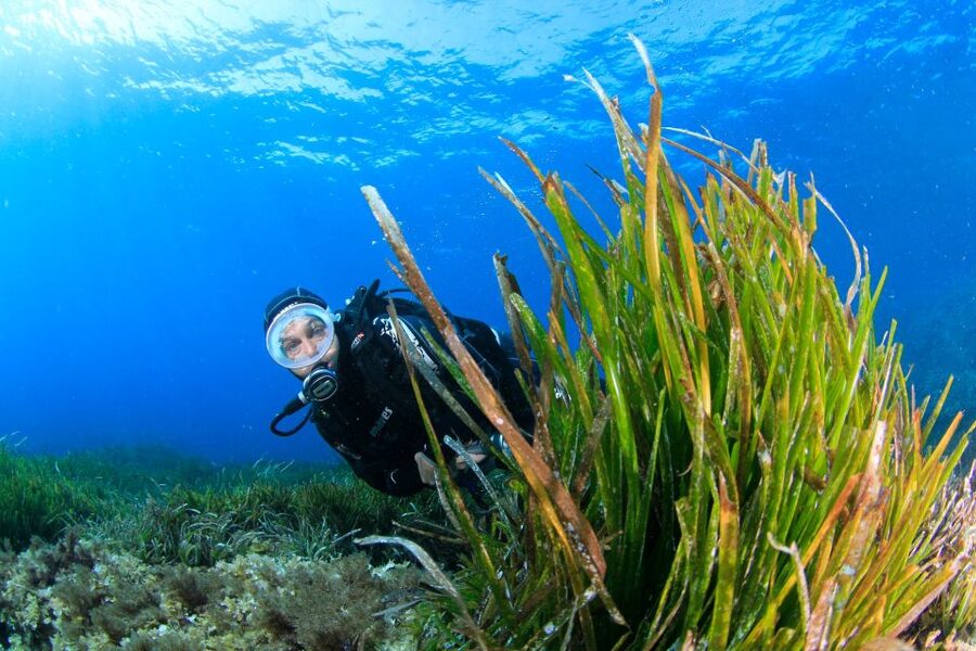 Bosa: Scuba Diving for Beginners in the Bosa Gulf - Learning the basics before entering the water