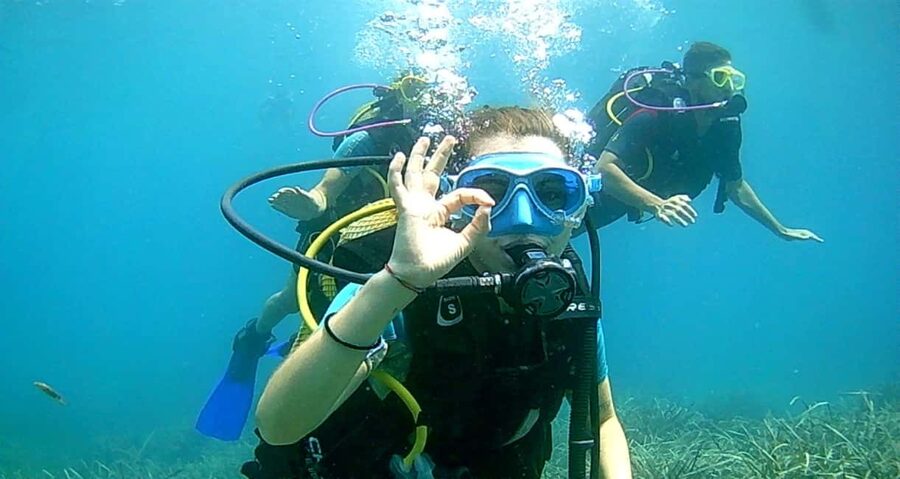 Brindisi: Underwater scuba diving - Key points to know before you book