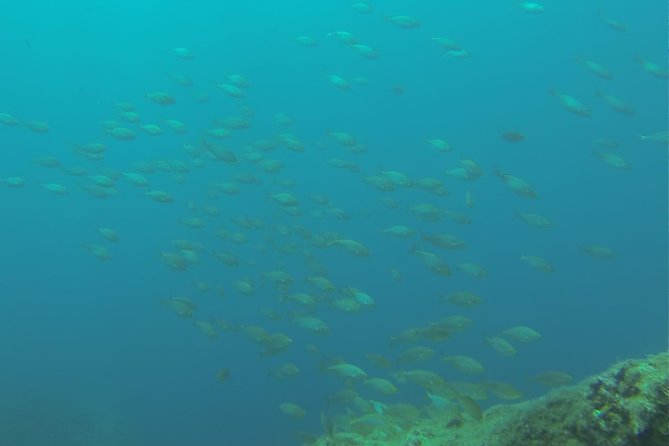 Bubble maker (scuba diving for children) - Key points at a glance