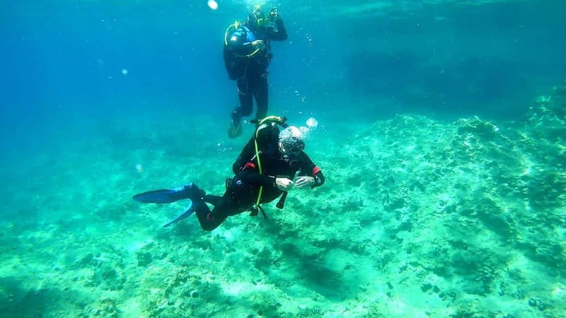 Budva: Scuba Diving Experience - Meeting at Gradski Bazen in central Budva