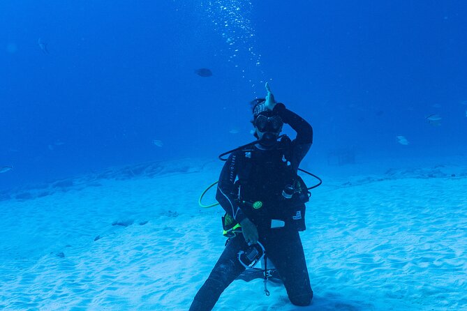 Bull Shark Dive in Playa del Carmen – Dive Machine Experience - Is the Dive Machine bull shark experience worth booking?