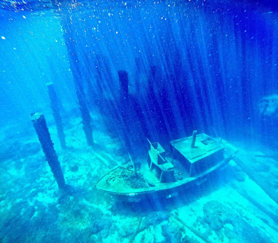 Busselton: Jetty Scuba Dive Tours with Underwater Sculptures - Who will enjoy this most