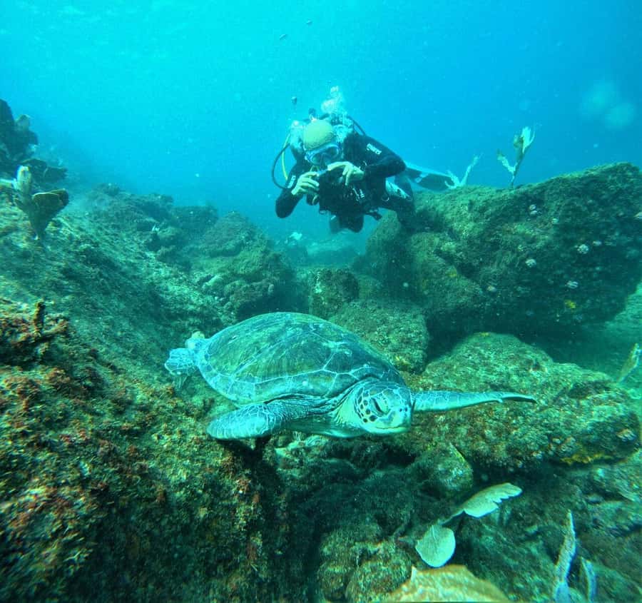 Buzios - DIVING EXPERIENCE - Finding João Fernandinho without taking the wrong turn