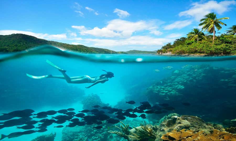 Buzios - DIVING EXPERIENCE - Exploring the reef near Búzios’ peninsula