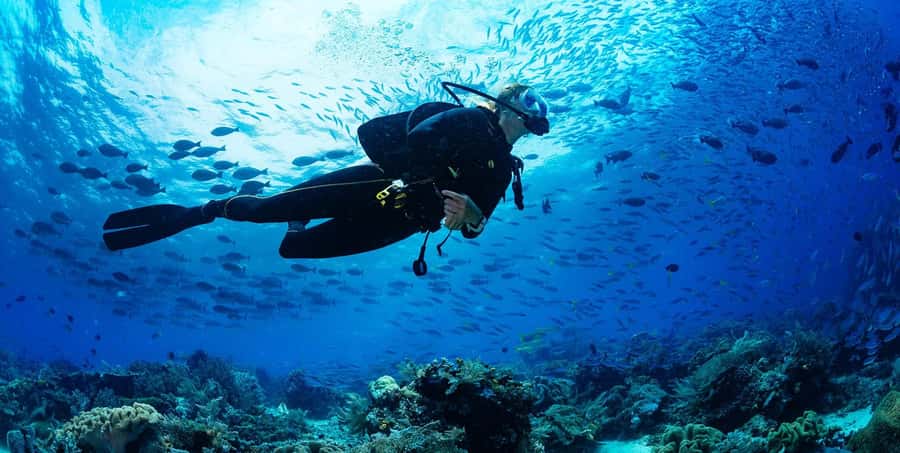 Buzios - DIVING EXPERIENCE - The 1.5-hour class and water adaptation