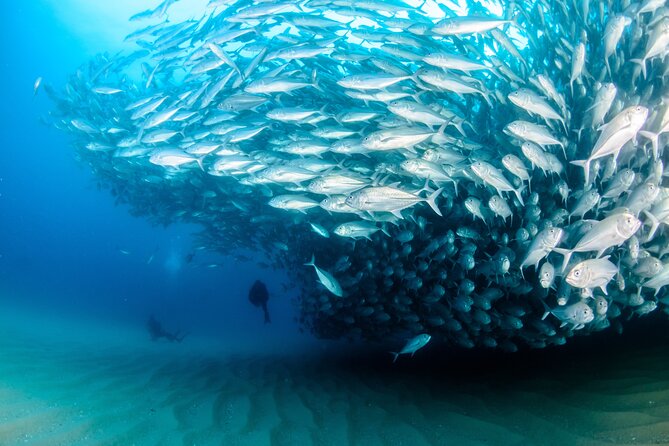 Cabo Pulmo 2 Tank Certified Dive with Lunch - The 7:00 am start and the road to the East Cape