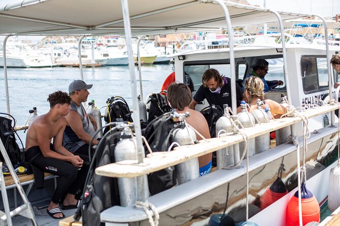 Cabo San Lucas 2 Tank Scuba Diving - Choosing the second location