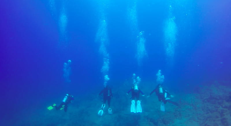 Cabo San Lucas: Beginners Diving Experience w/ Water & Snack - Seeing fish and rock formations in protected water