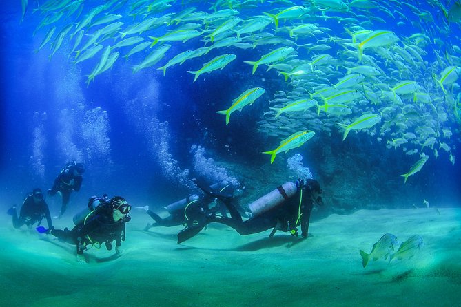Cabo San Lucas Certified 2 Tank Dive at the Famous Arch and Land's End - Key points to know before you book