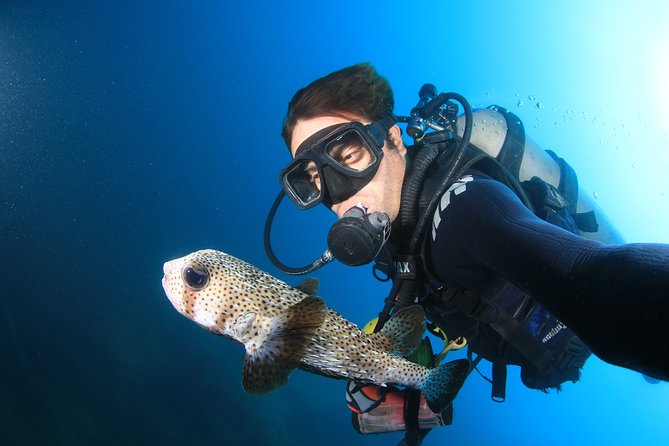 Cabo San Lucas Certified 2 Tank Dive at the Famous Arch and Land's End - Why this Cabo scuba trip is worth considering