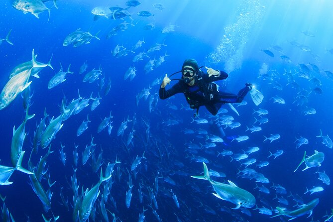 Cabo San Lucas Certified 2 Tank Dive at the Famous Arch and Land's End - Leaving San Jose del Cabo for Land’s End