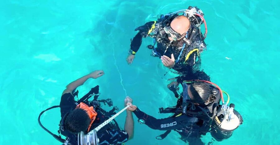 Cagliari: Discover scuba diving for Beginners - Key points to know before booking