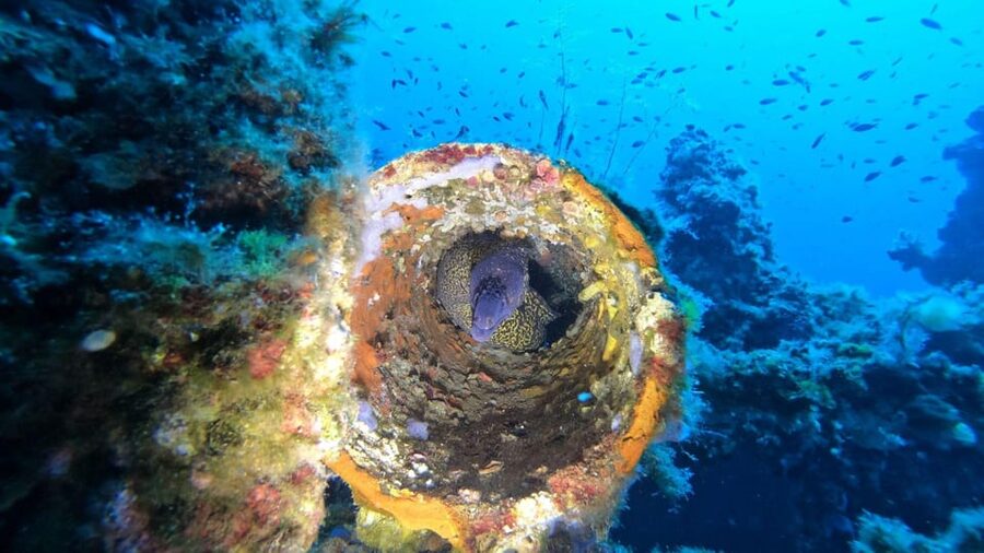 Cagliari: Discover scuba diving for Beginners - Meeting at the Seaworld centre