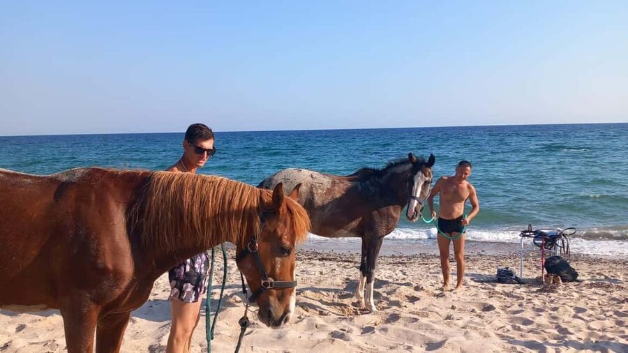 Cagliari: horseback riding with sunrise dive - Riding Beside the Morning Sea