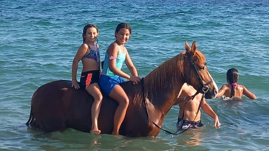 Cagliari: horseback riding with sunrise dive - Why the 30-Minute Length Matters