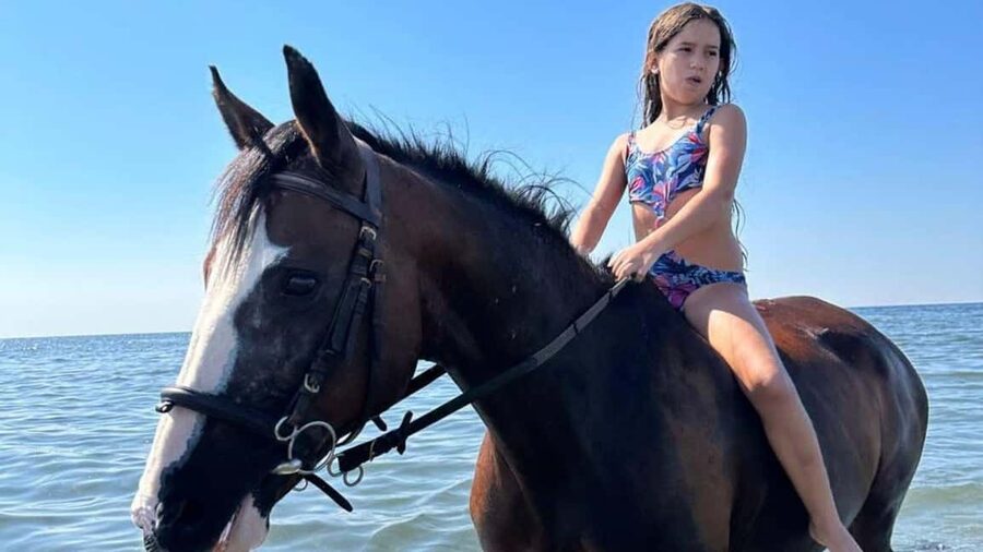 Cagliari: horseback riding with sunrise dive - Entering the Clear Sea With Your Horse