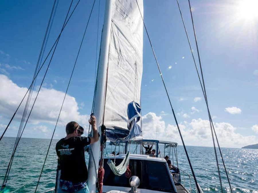 Cairns: 2-Day Great Barrier Reef Dive and Snorkel Boat Trip - The night session is the trip’s special extra
