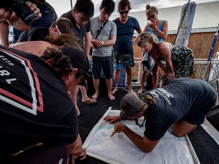 Cairns: 2-Day Great Barrier Reef Dive and Snorkel Boat Trip - What the two days feel like
