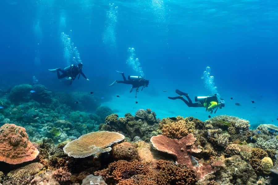 Cairns: 4-Day PADI Open Water Course - Small-group teaching and the human side of the course