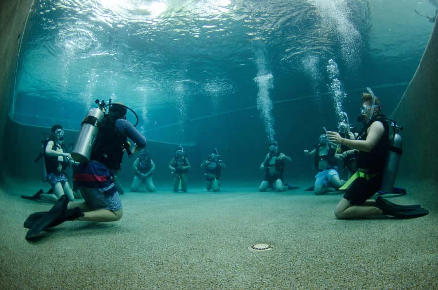 Cairns: 4-Day PADI Open Water Course - Day two: the 200-metre swim and the theory exam