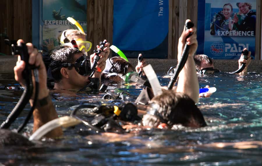 Cairns: 4-Day PADI Open Water Course - Day four: two more open-water sessions and certification
